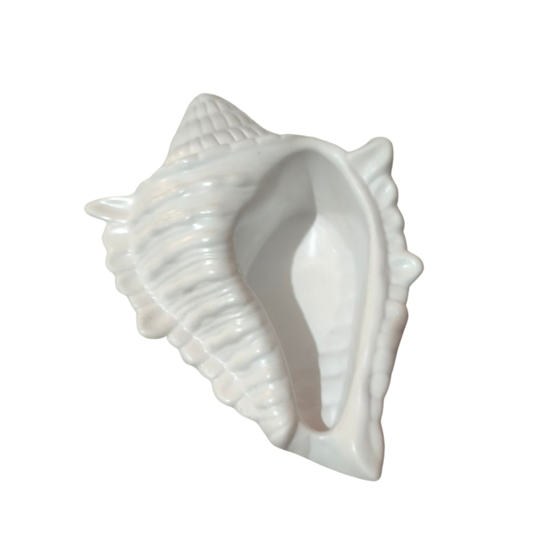 The “Thalassa” Porcelain Shell